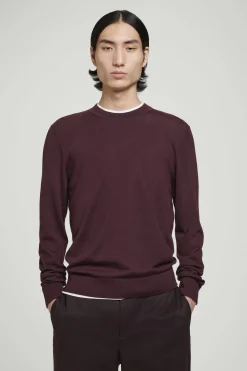 Herren COS Pullover | Strickmode*SCHMALER MERINOWOLLPULLOVER MIT RUNDHALSAUSSCHNITT